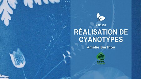 Réalisation de cyanotype