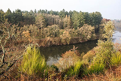 Battue aux sangliers le 5 mars: les parcs Saint-Nicolas interdits au public