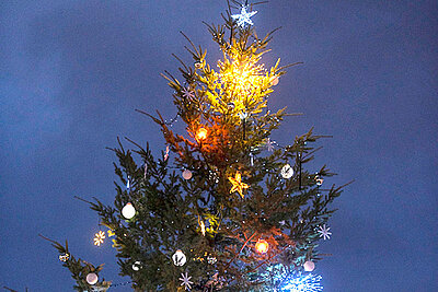 Des points de collecte pour r&eacute;cup&eacute;rer les sapins de No&euml;l