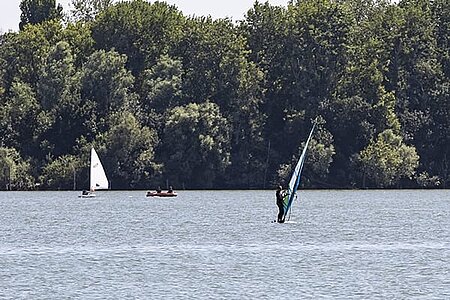 Planche à voile