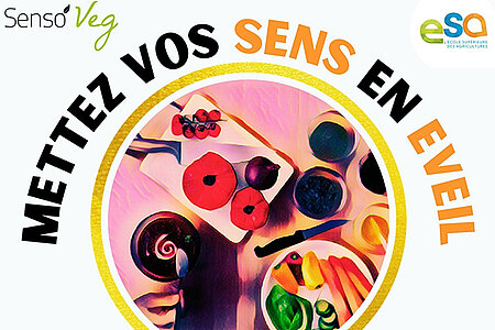 Mettez vos sens en éveil