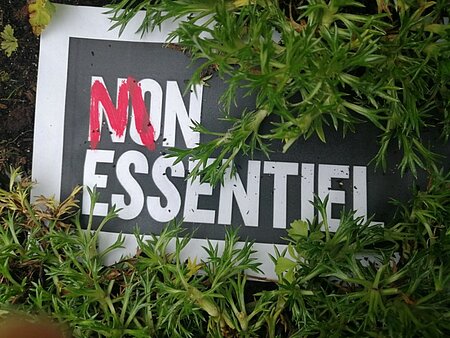 Mon essentiel