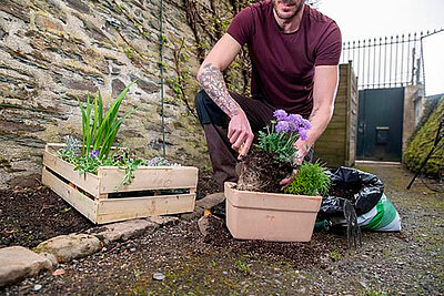 Concours v&eacute;g&eacute;tal : les inscriptions sont ouvertes