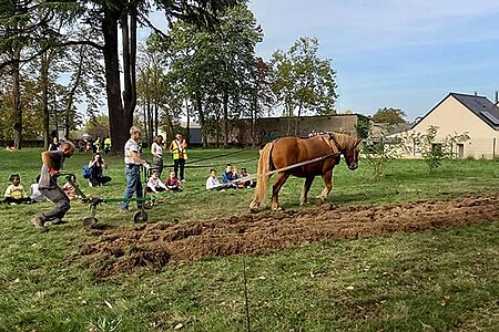 Démonstration de labour à cheval