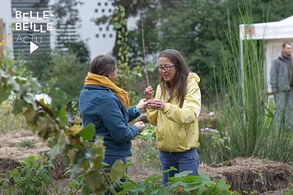 L'agriculture urbaine prend racine à Belle-Beille