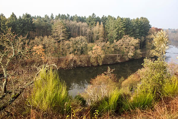 Battues aux sangliers: fermetures temporaires de trois secteurs