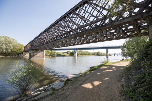 Une battue aux sangliers programm&eacute;e dans le secteur de la Tournerie