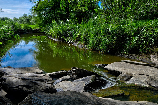 Angers Loire Métropole lance la mobilisation en faveur de la biodiversité