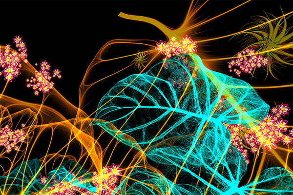 Que faire &agrave; Angers pendant les vacances de fin d'ann&eacute;e