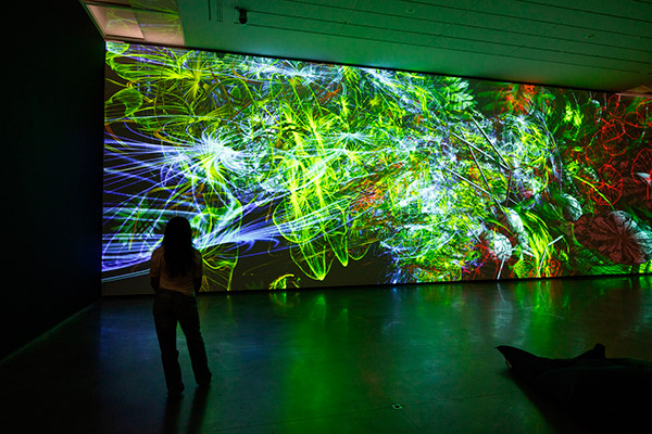 2025, ann&eacute;e record pour les mus&eacute;es d'Angers