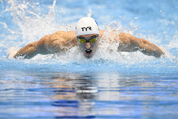 L'élite de la natation française sera à Angers du 26 au 29 octobre
