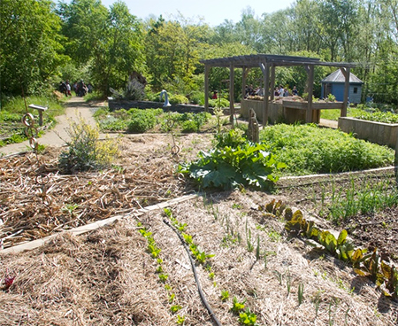 Jardin biologique à Angers