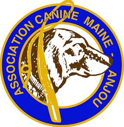 Exposition canine internationale