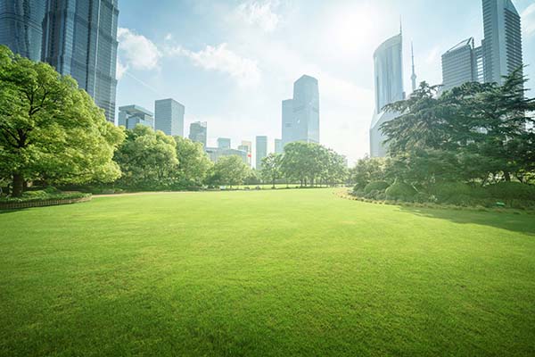 La gestion respectueuse de nos jardins et de nos arbres