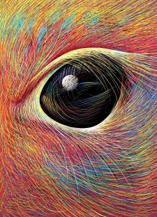 L'Univers d'Isabelle Simler