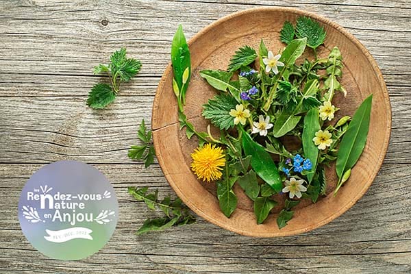 Ces mauvaises herbes si exceptionnelles